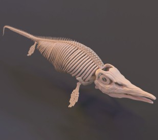 Модель Ихтиозавр